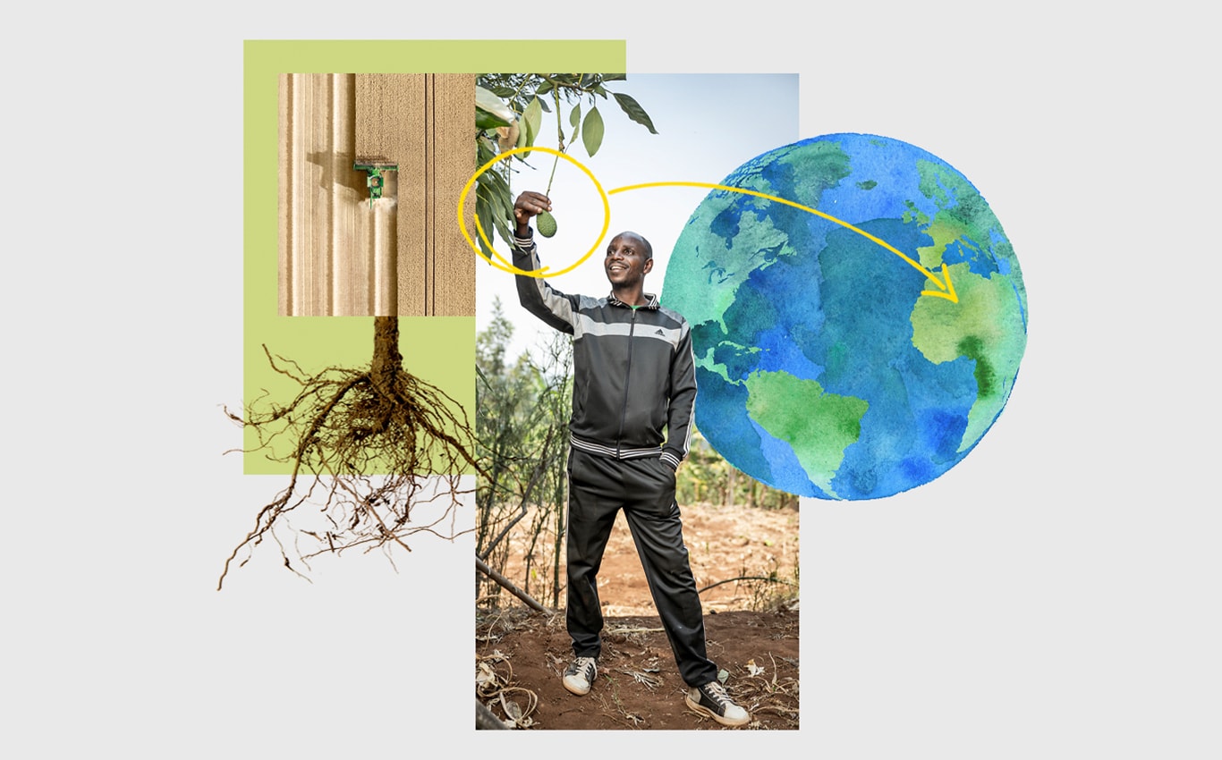 Põllul oleva John Deere’i hekseldi vaade õhust, inimene haaramas puu otsas rippuvat avokaadot ning nool osutamas Maad kujutaval joonisel Aafrikale.