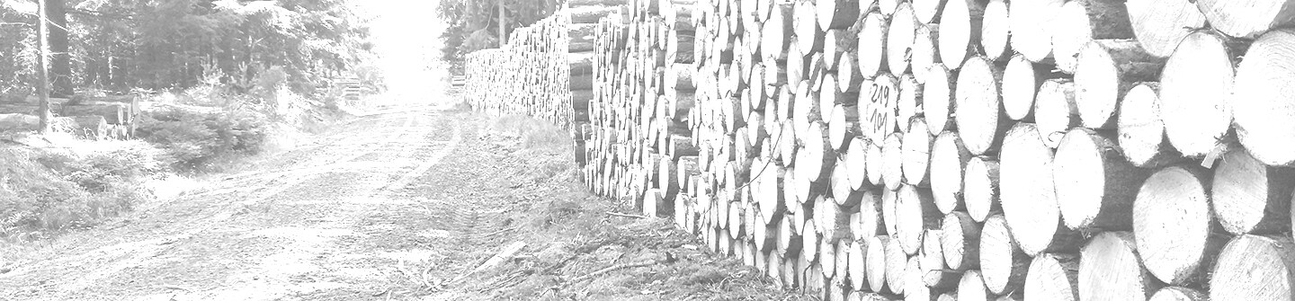 John Deere Forestry